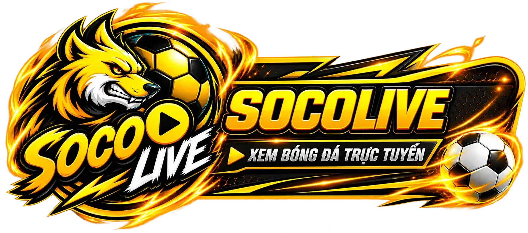 SOCOLIVE logo